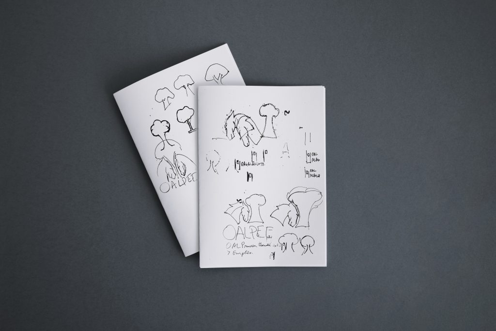 renovación de marca