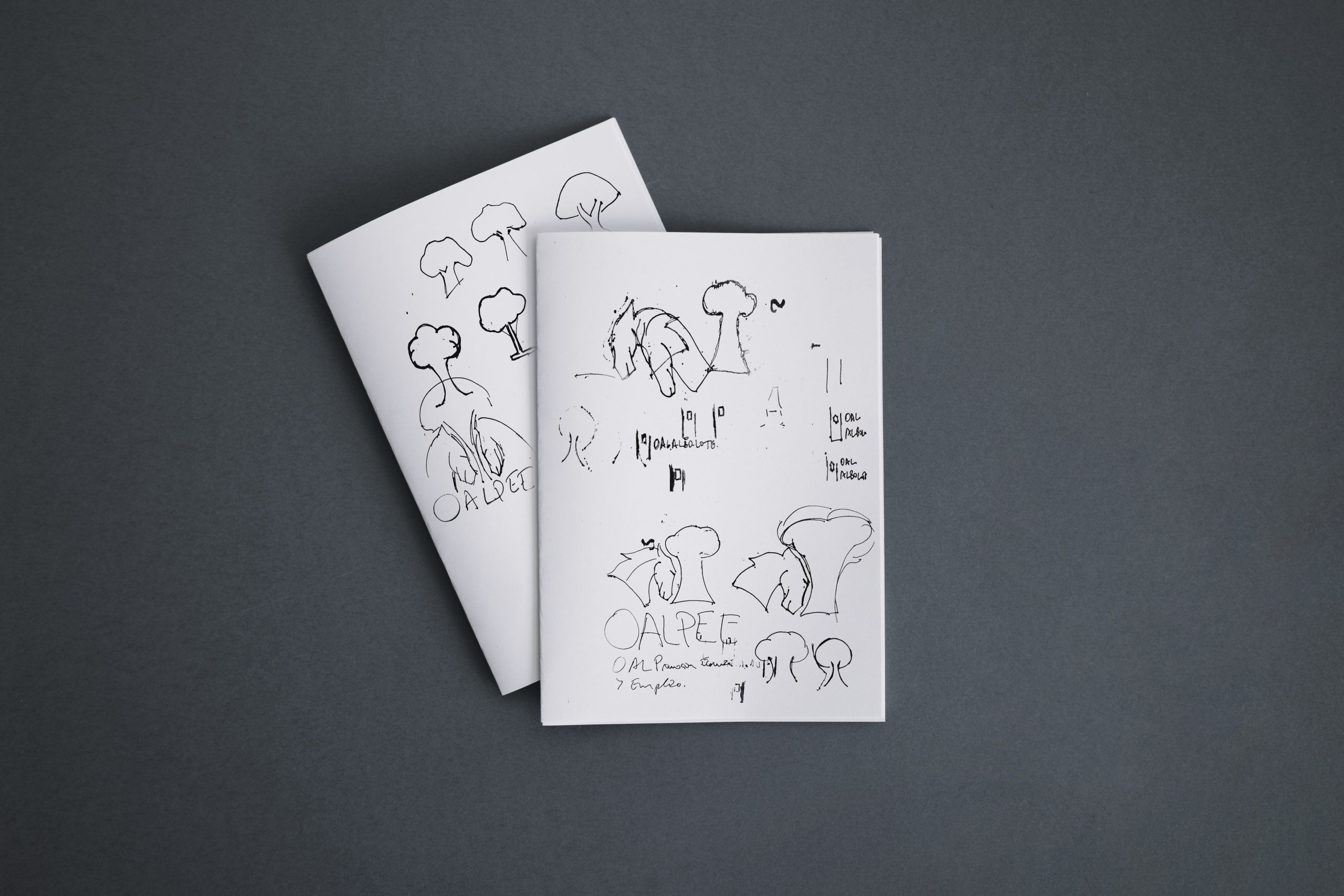 Renovación de marca o envejecer mal.